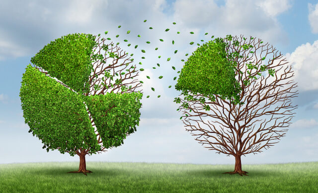 Management fees: Is there a tax risk?